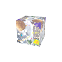 Новогодняя ночь Салют купить в Мценске | mcensk.salutsklad.ru