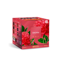 Пионы Салют купить в Мценске | mcensk.salutsklad.ru