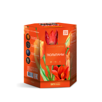 Тюльпаны Салют купить в Мценске | mcensk.salutsklad.ru