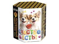 Счастье есть! Салют купить в Мценске | mcensk.salutsklad.ru