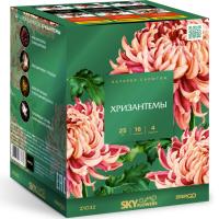 Хризантемы Фейерверк купить в Мценске | mcensk.salutsklad.ru