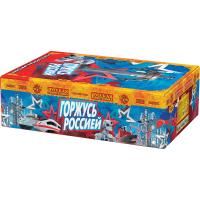 Горжусь Россией! Фейерверк купить в Мценске | mcensk.salutsklad.ru