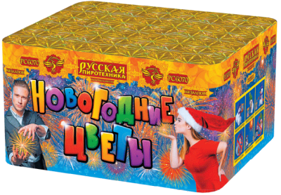 Новогодние цветы Фейерверк купить в Мценске | mcensk.salutsklad.ru