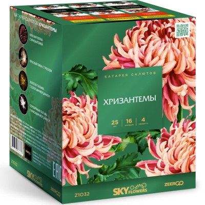 Хризантемы Фейерверк купить в Мценске | mcensk.salutsklad.ru