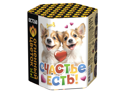 Счастье есть! Салют купить в Мценске | mcensk.salutsklad.ru